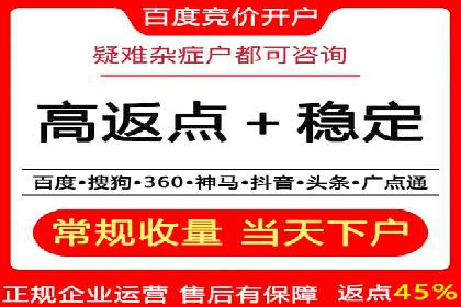 百度推广竞价全解析：某电商平台的营销策略